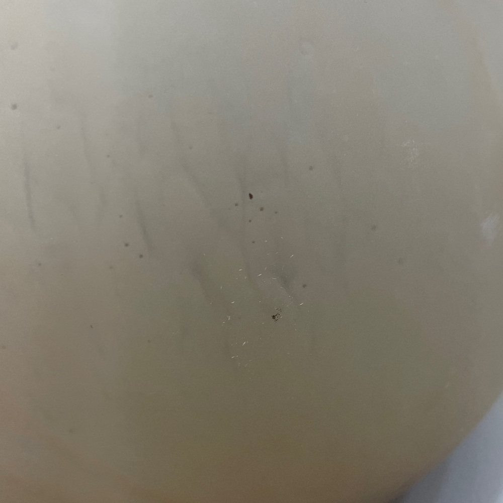 Anthropologie Frosted Glass Decorative Vase - Picture 8 of 8